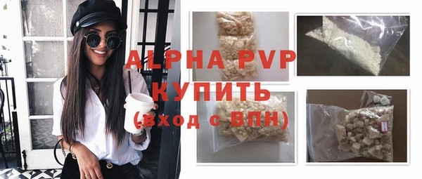 эйфоретик Няндома