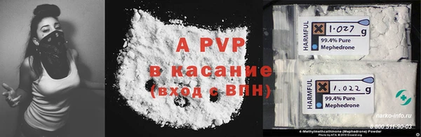 эйфоретик Няндома