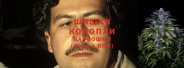 эйфоретик Няндома