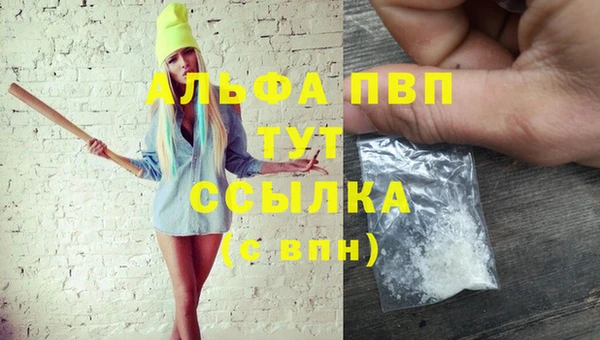 эйфоретик Няндома