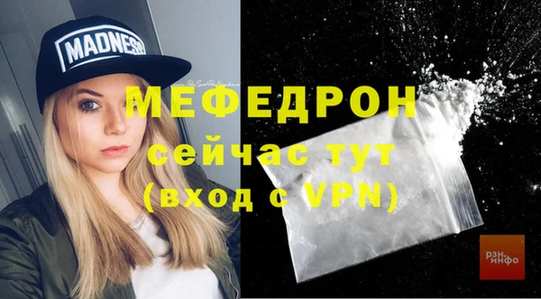эйфоретик Няндома