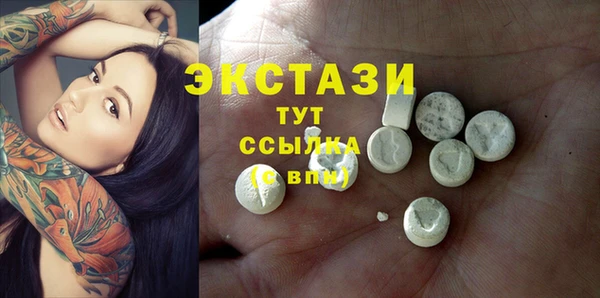 эйфоретик Няндома