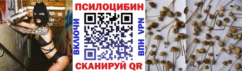 Галлюциногенные грибы мицелий  Купить  Полесск 